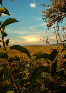 Las Animas County, Colorado