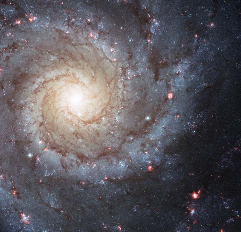 Hubble Image of Spiral Galaxy