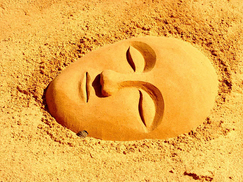 "Ephemeral Life" by _ Krystian PHOTOSynthesis (wild-thriving) _