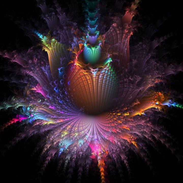 295789_2396751152387_361773242_n